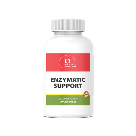 ENZYMATIC SUPPORT